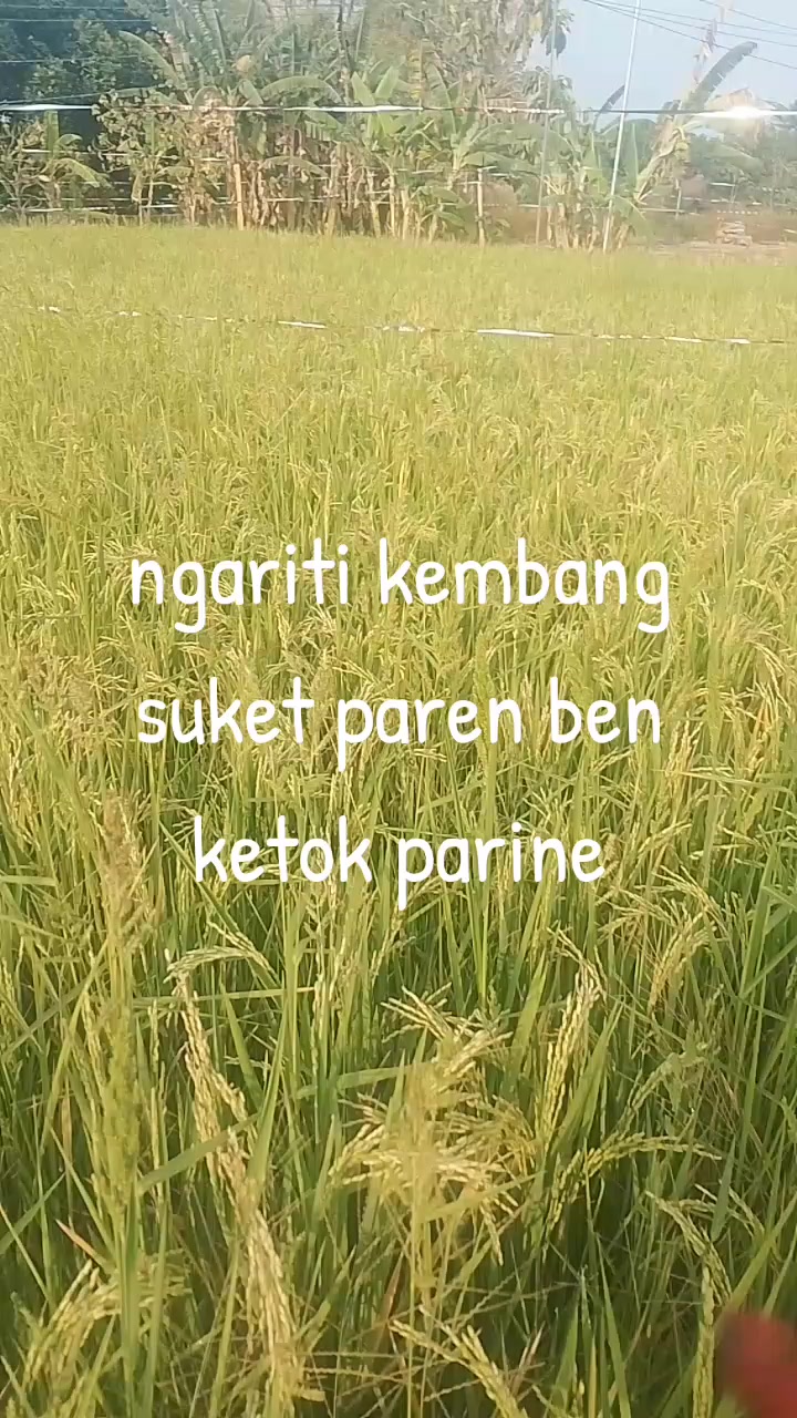 @ander log 024