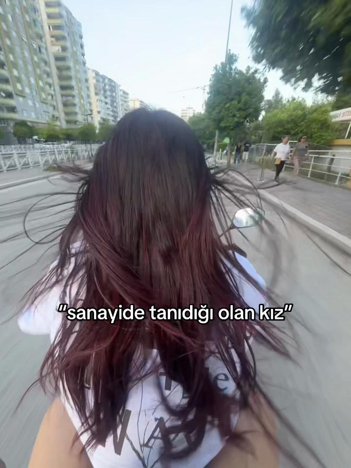 @seena