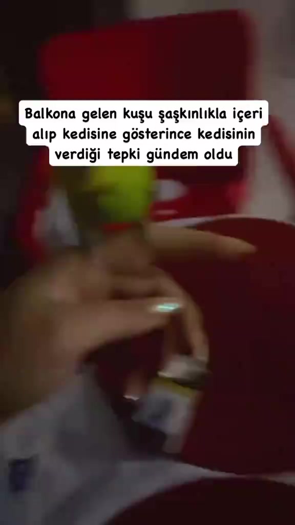 @Kader