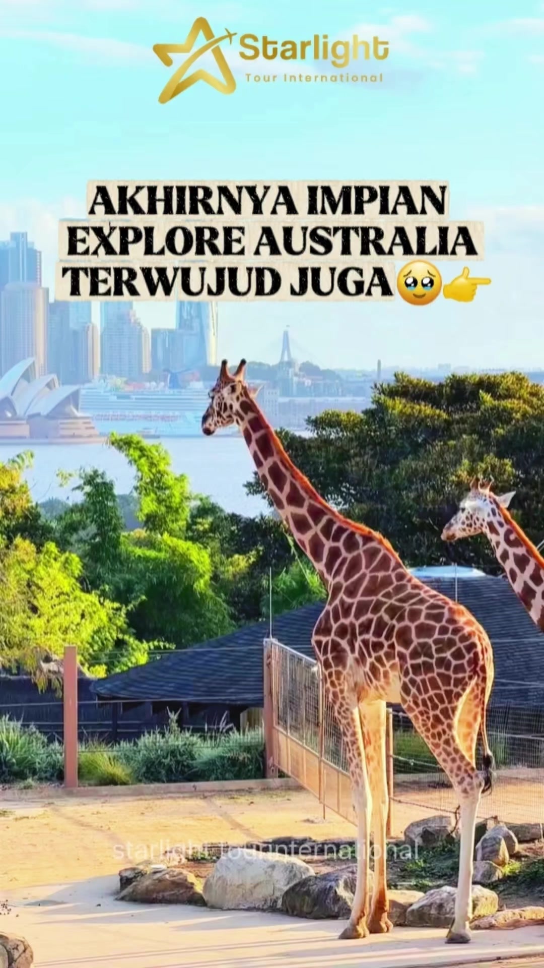 @Starlight.tourinternational