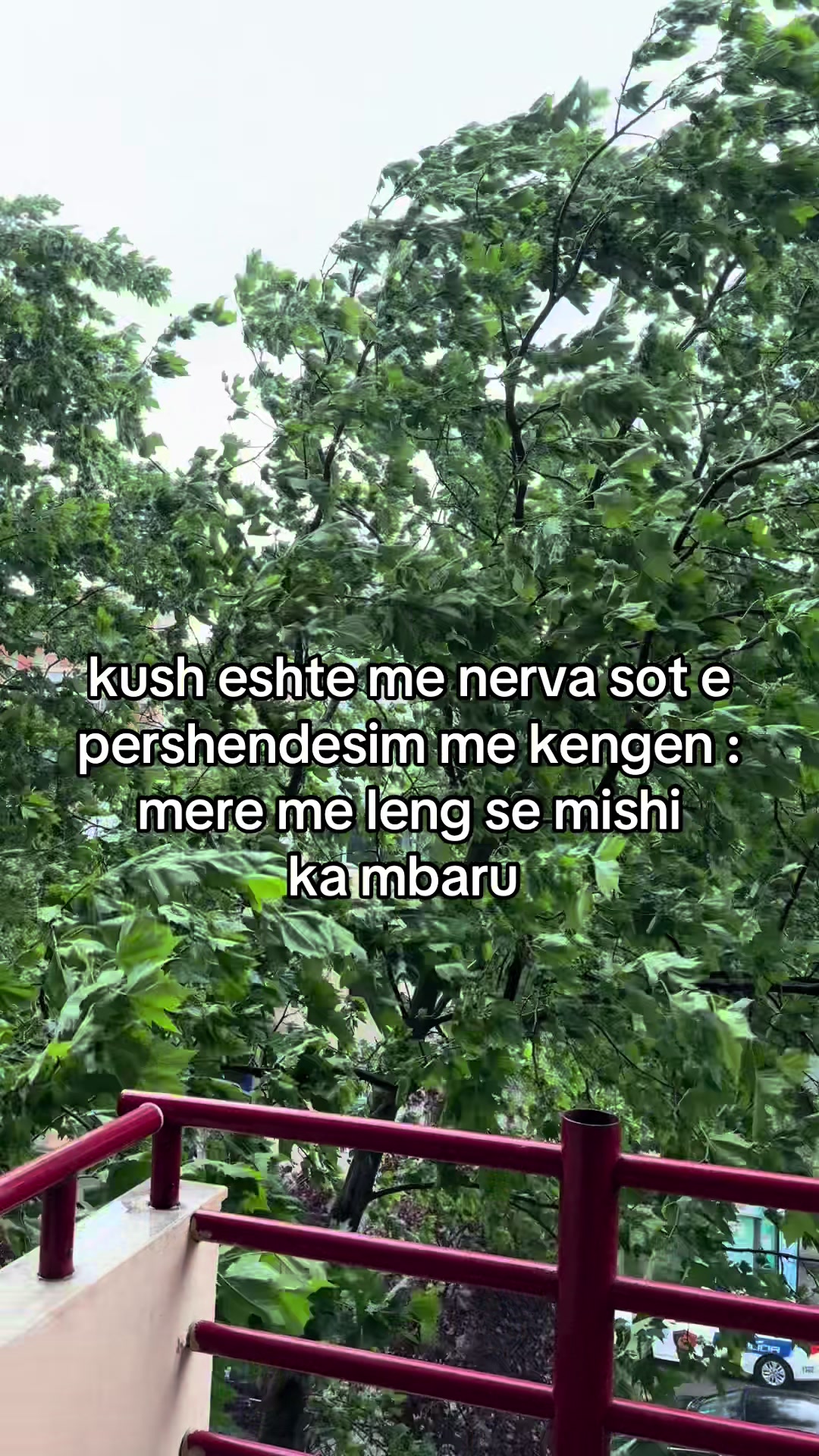 @lolita Estetike