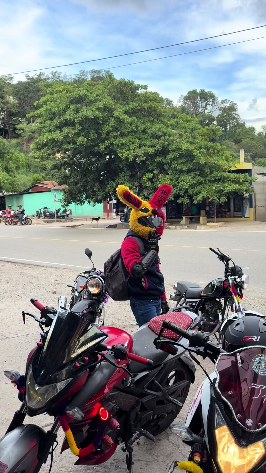 @ChapinGT502🇬🇹🇬🇹👊🐸