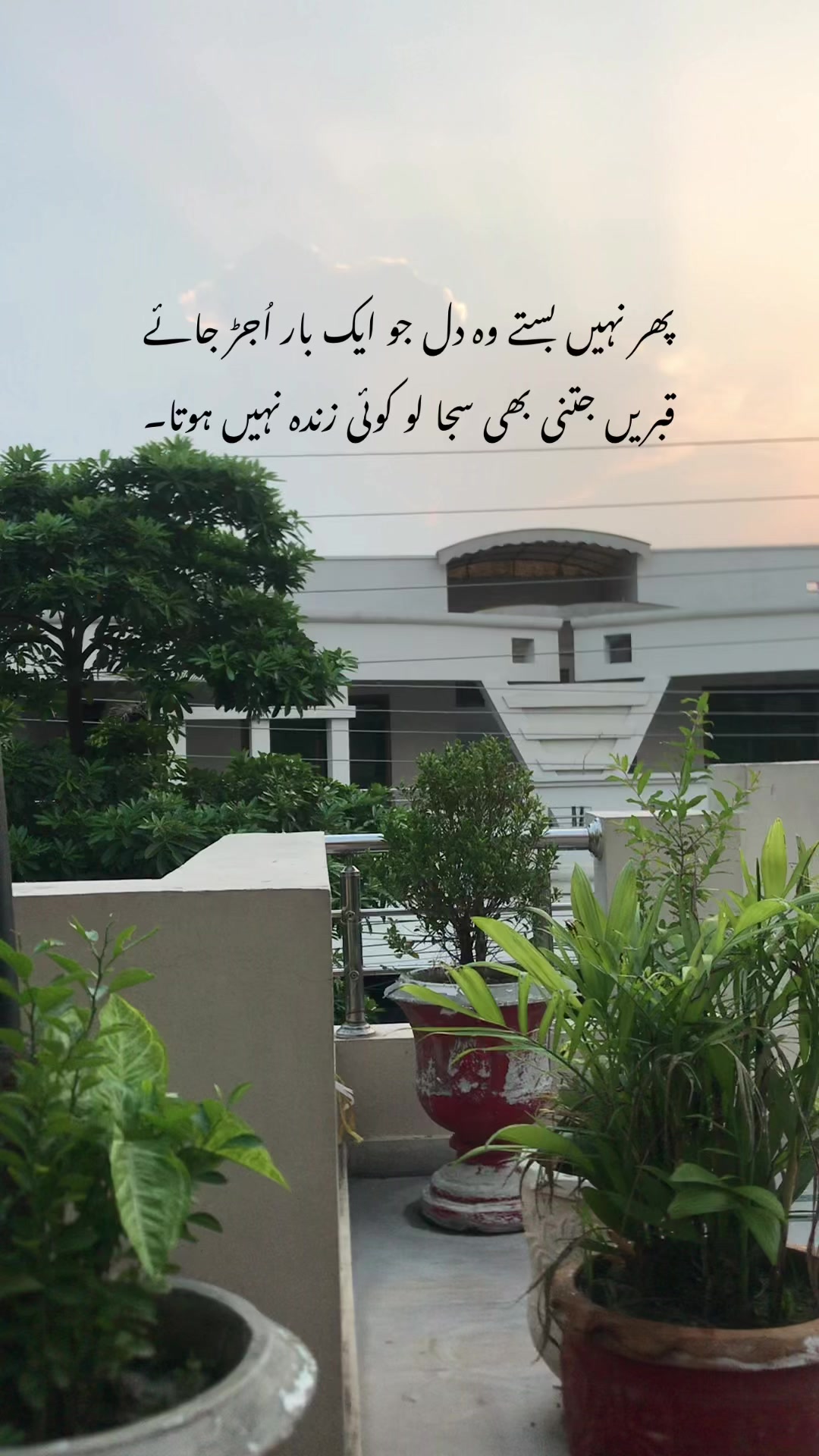 @فیضہ🤍