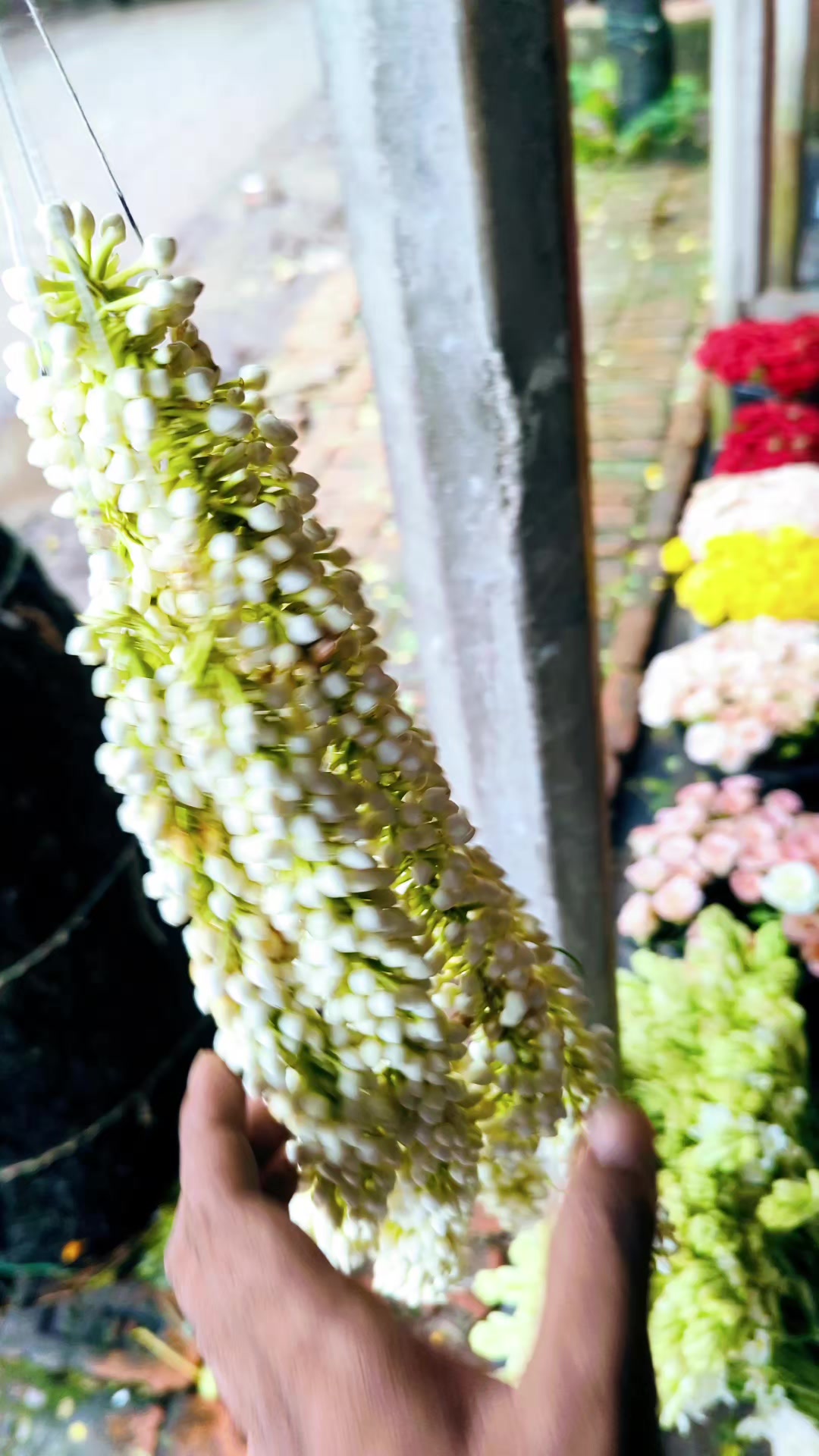 @গোলাপ গ্রাম 🔘
