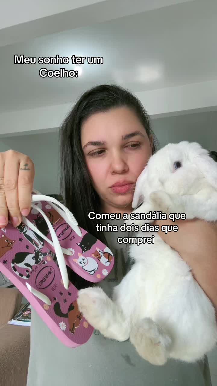 @Fer_Sousa