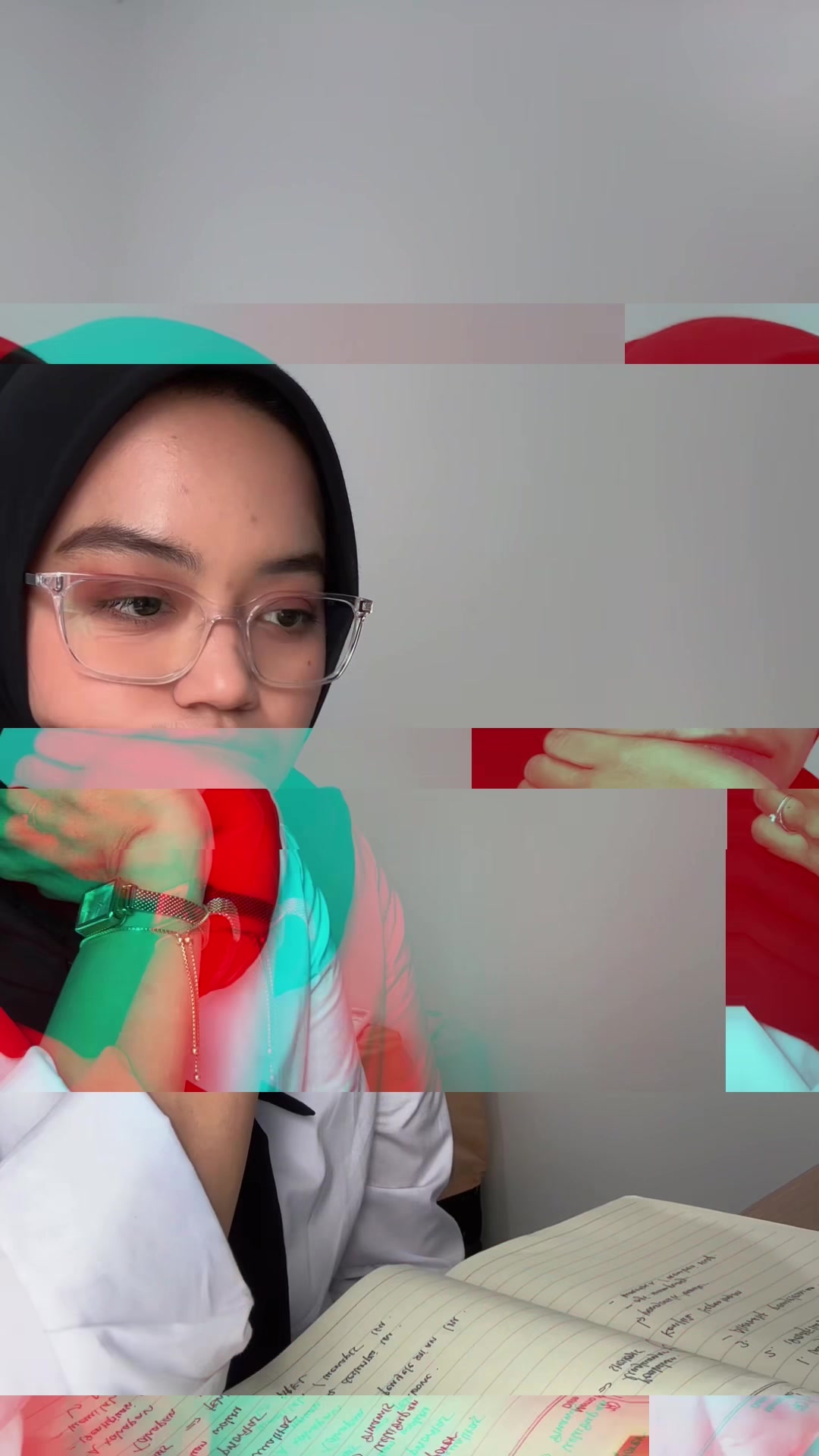 @🦩