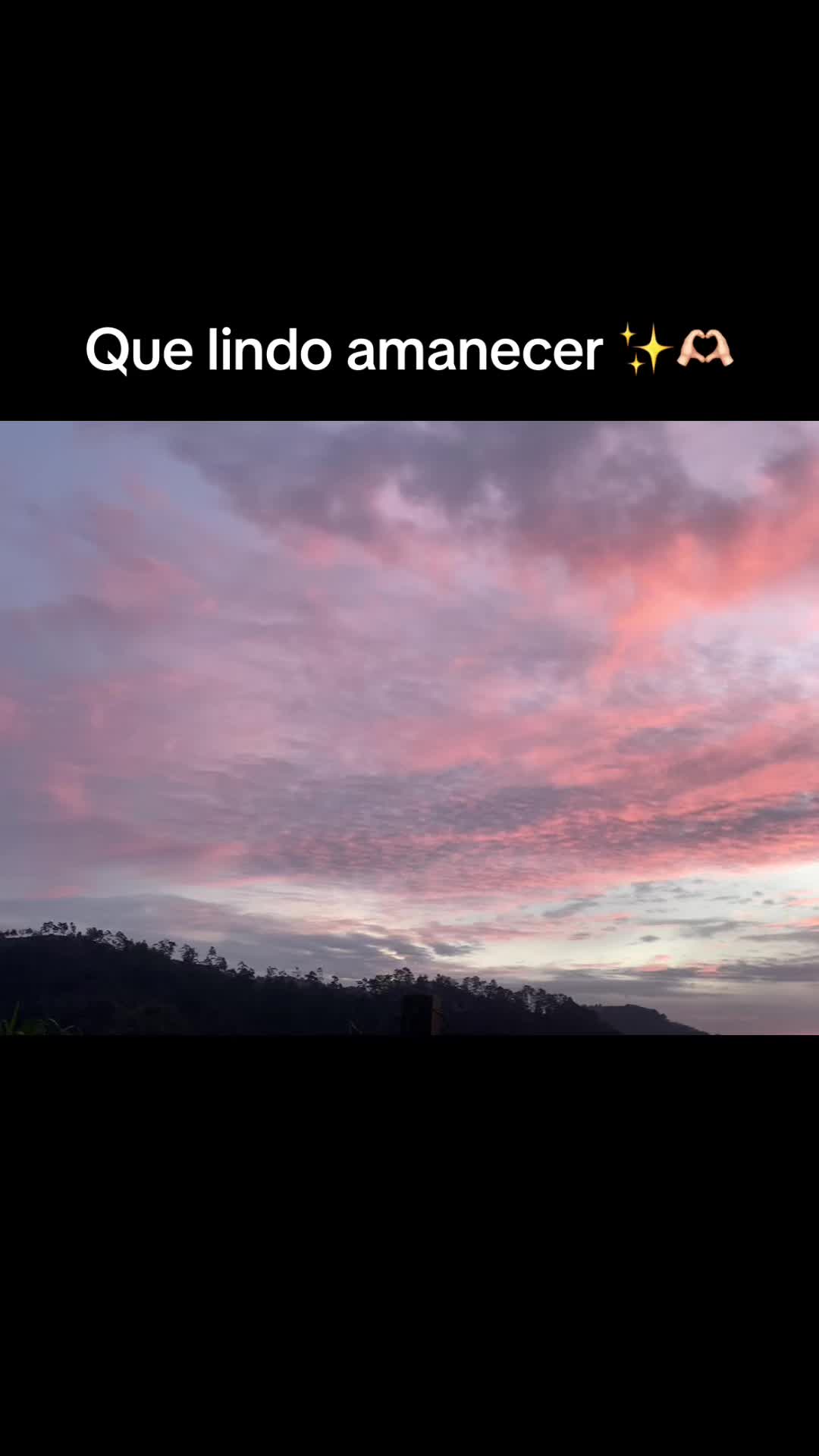 @🍒Genesis 🌸🌙