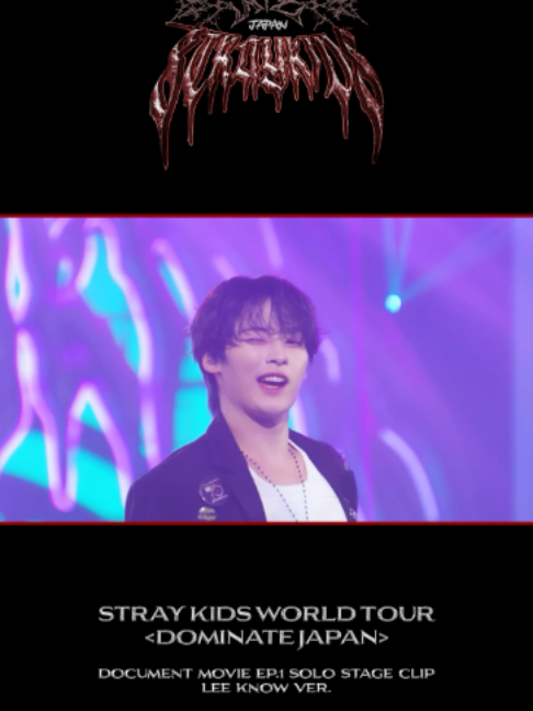 @straykids_japan