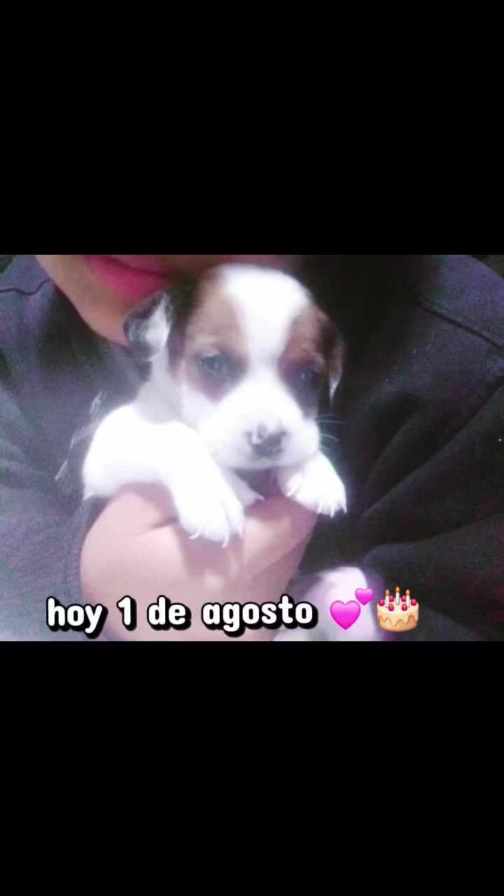 @Leslye avalos t. ❤️💋