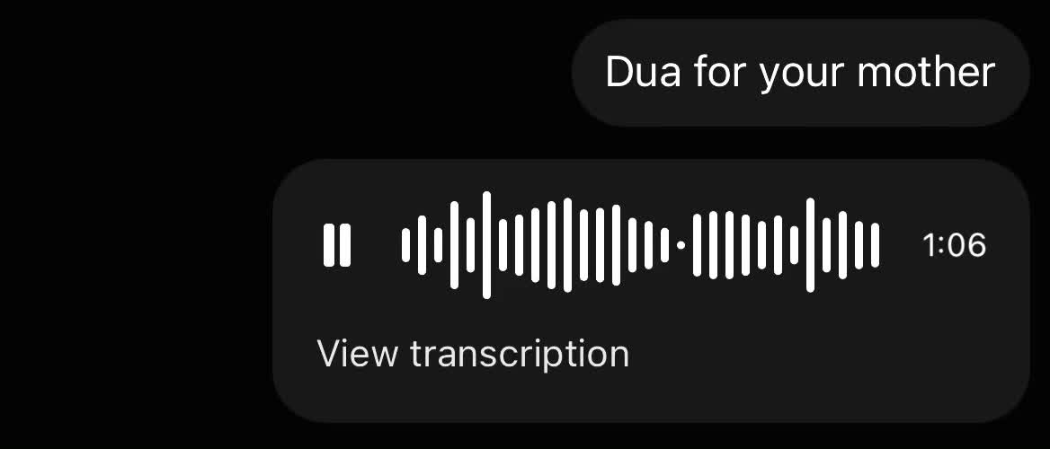 @dxb.mush