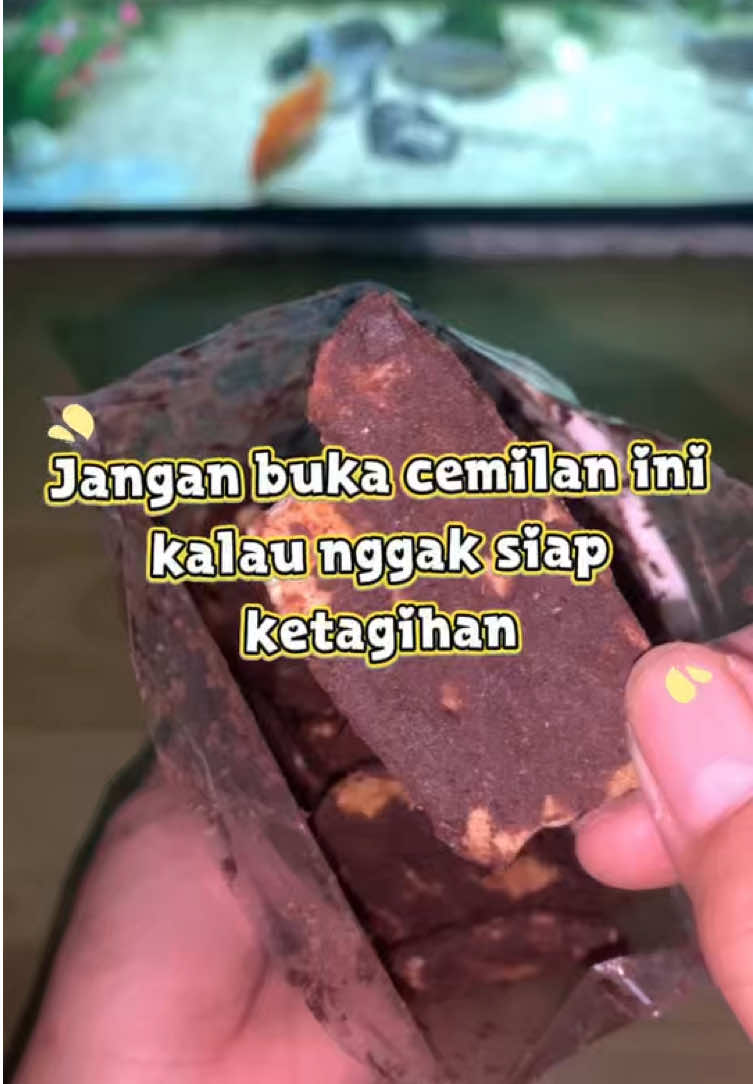 @Religiaa