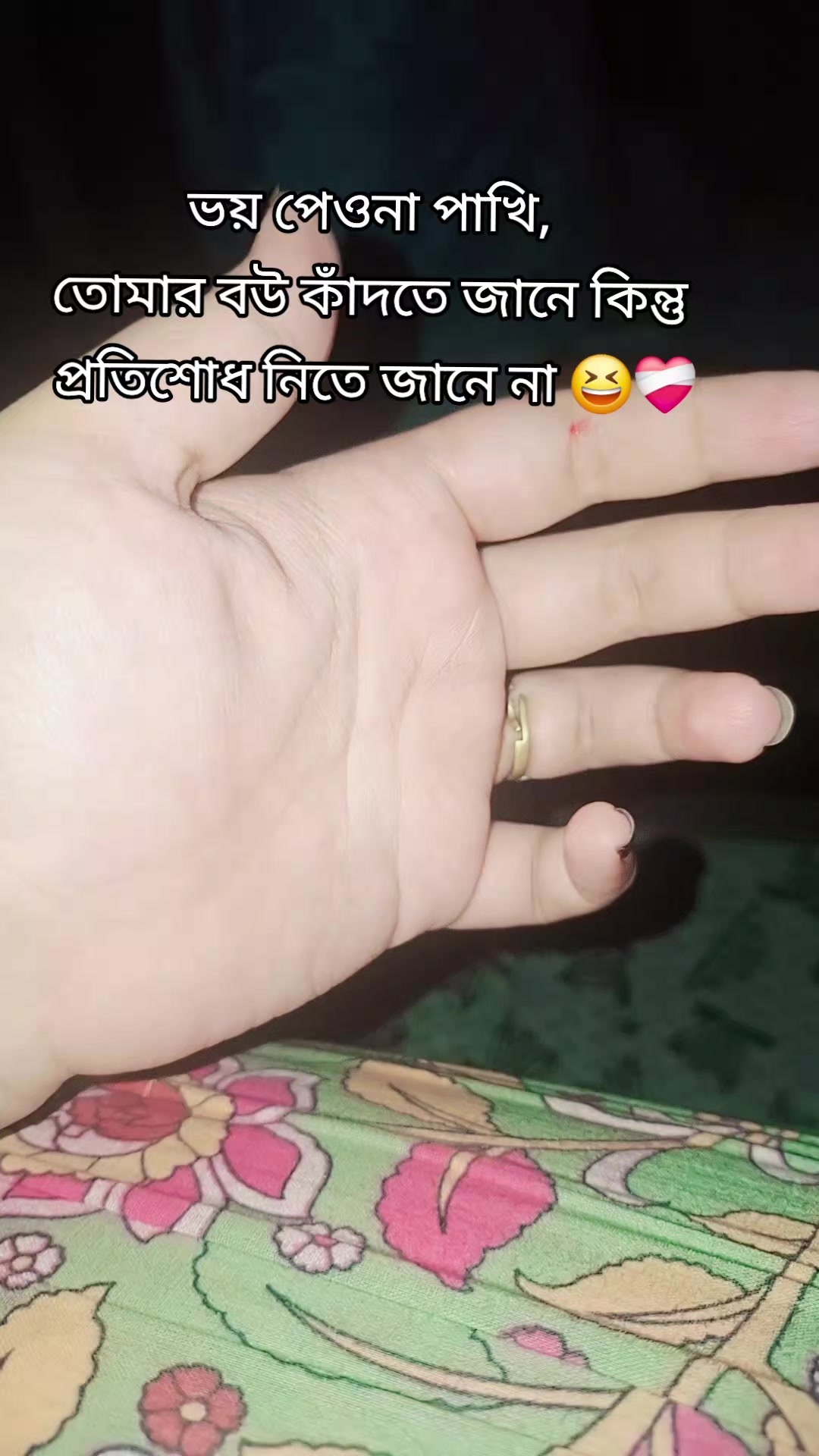 @🤲😺ঈমানদার বিলাই 😺🤲