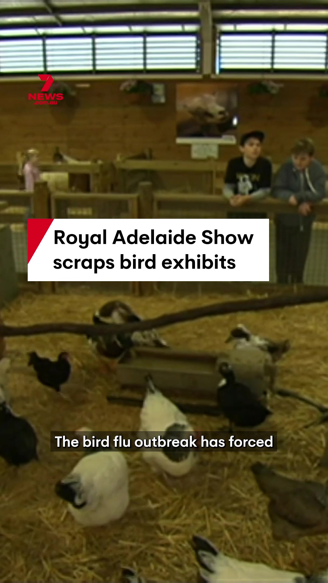 @7NEWSAdelaide