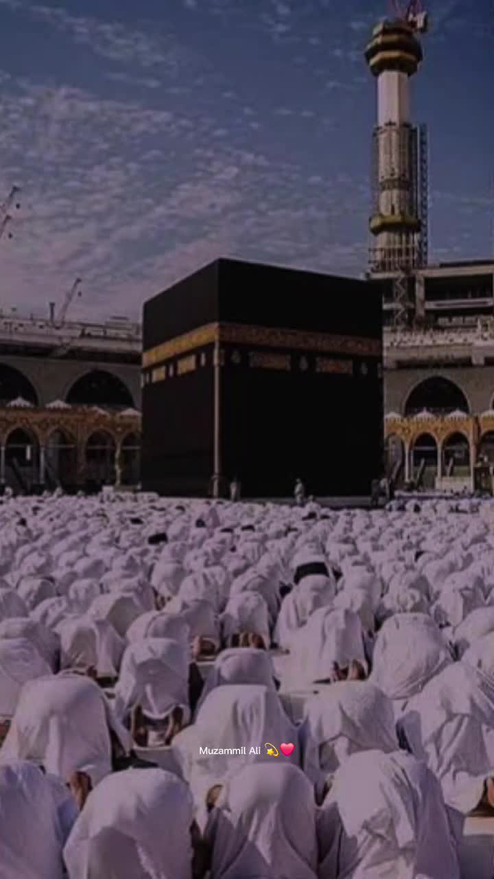 @Muزaمil Aلi