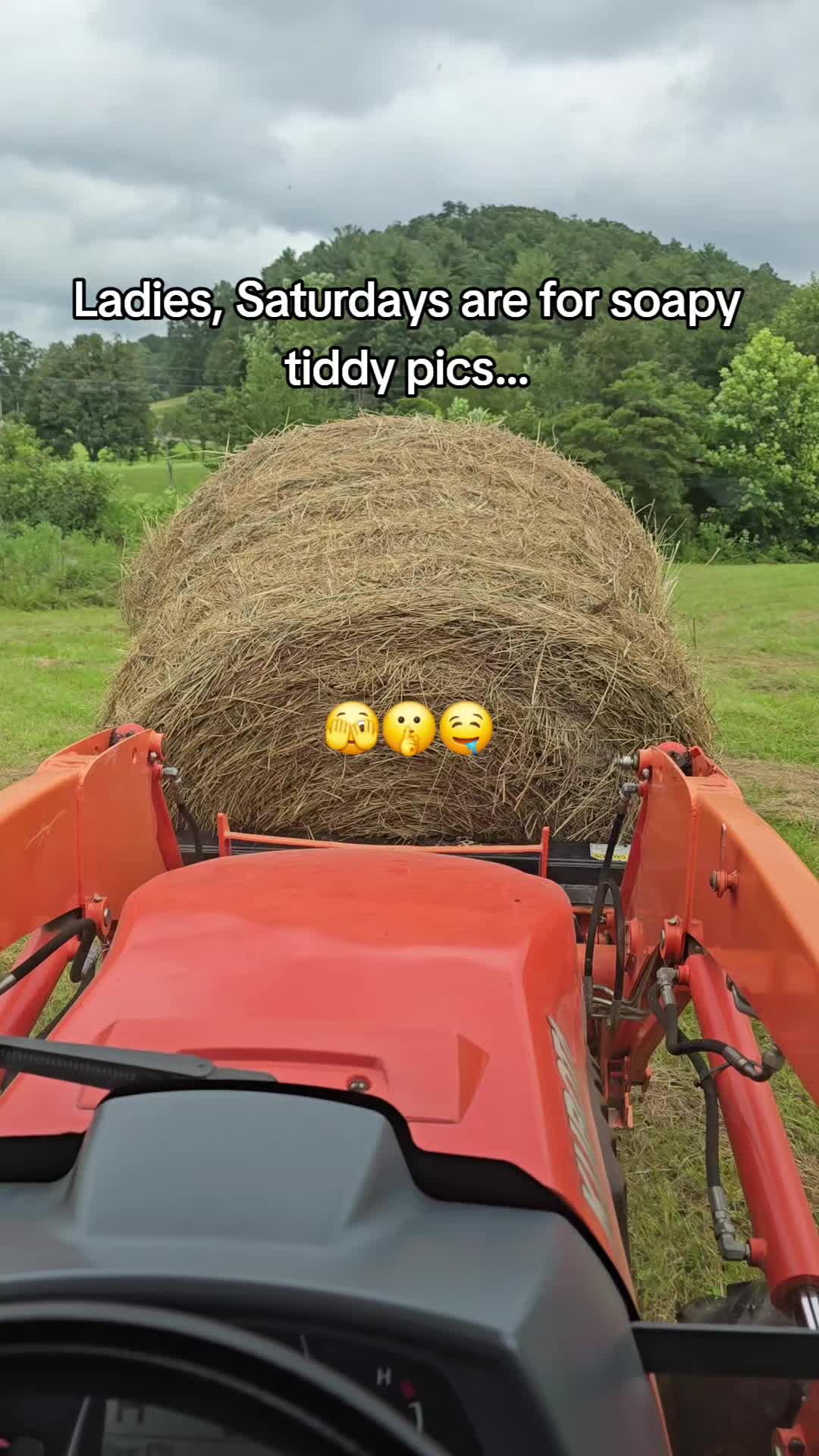 @BeeJaysBeforeBreakfast