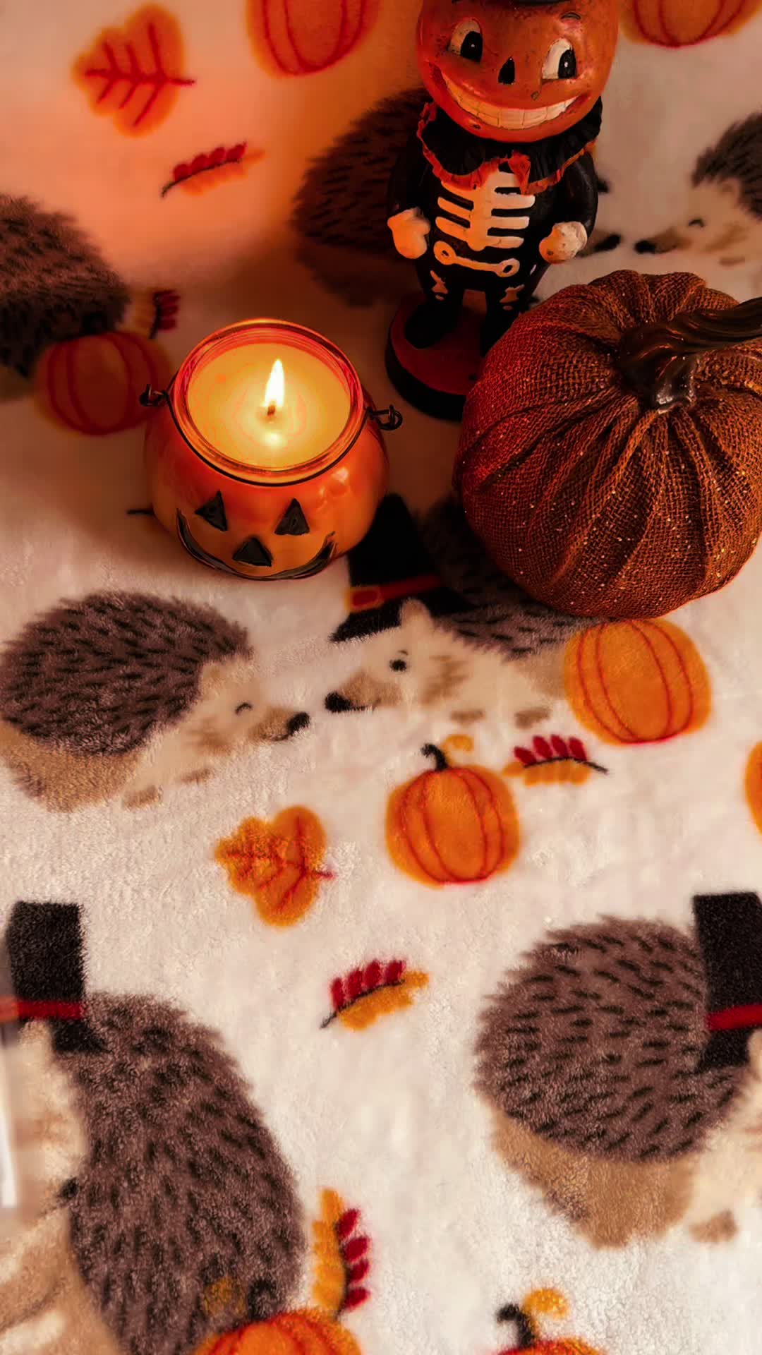 @𝖈𝖊𝖘𝖆𝖗𝖆𝖍🎃🦇