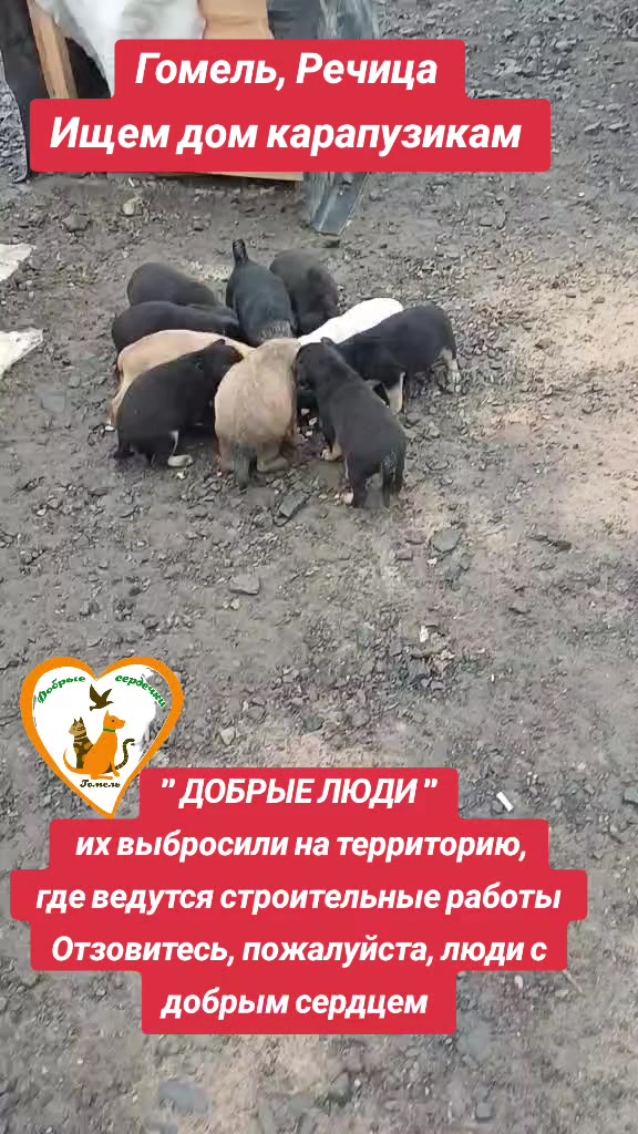@Марина