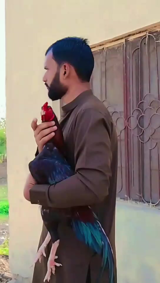 @Kamran Mirani🦋