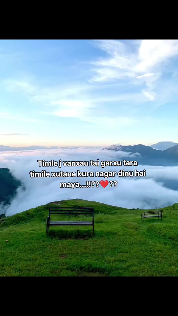 @DimDonG🐉💙