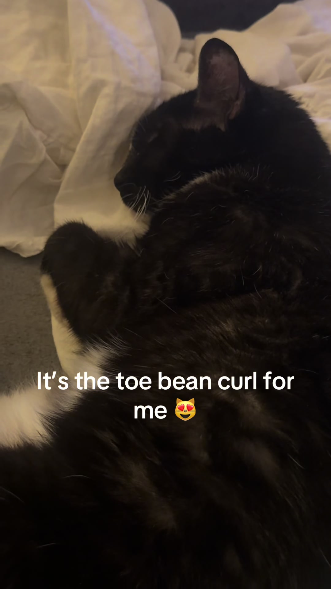 @Punmasterflex93