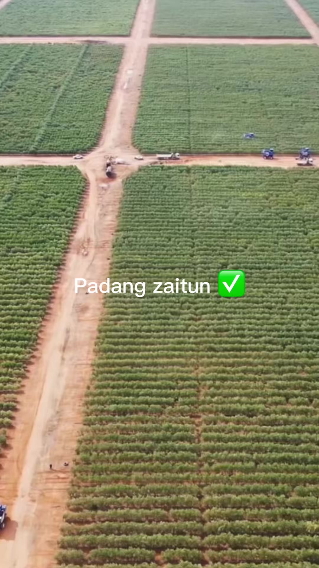 @AA KADU