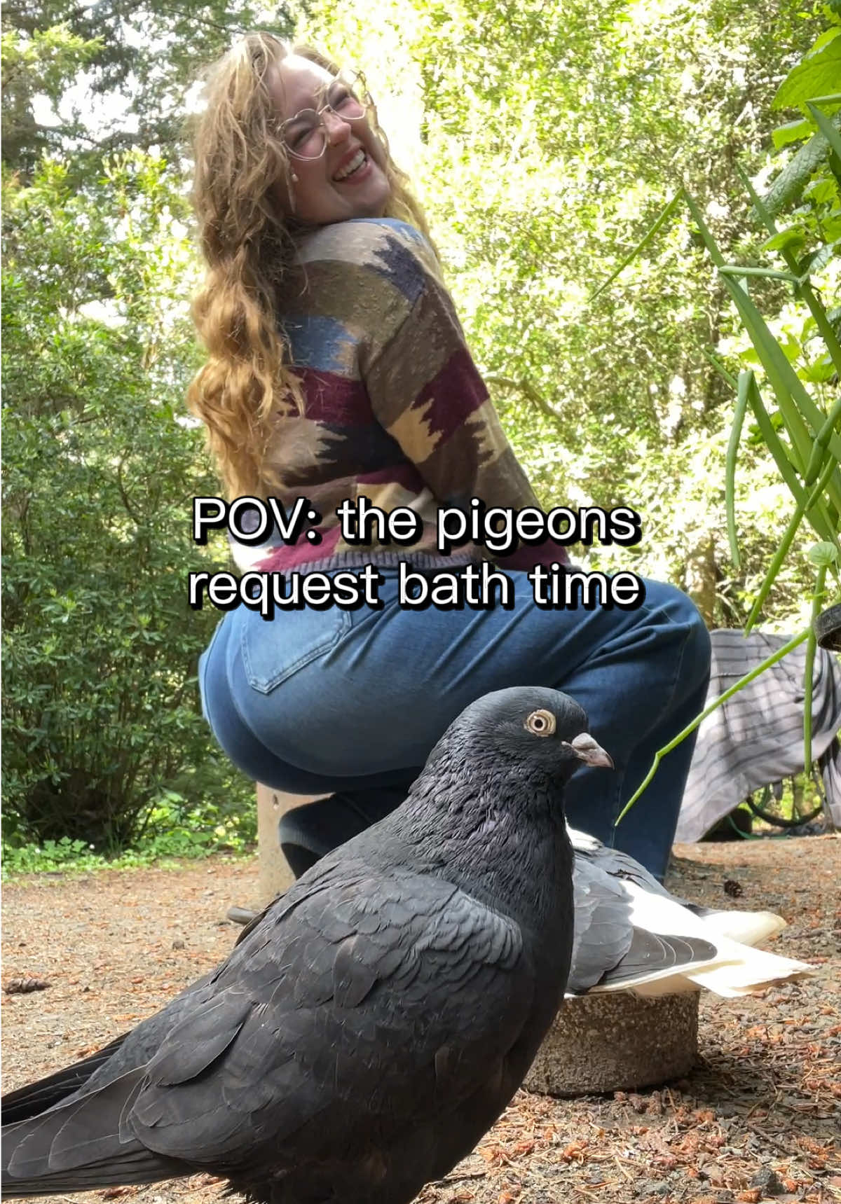 @Ava&rsquo;s Palomas 🕊️