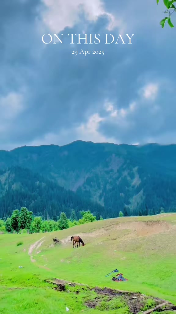 @Salman_Saif_Phularwan