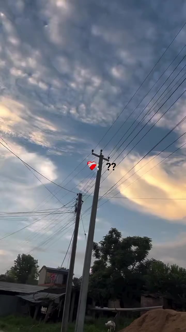 @ᴀᴍ...ᴍᴀʀᴜғ🥂