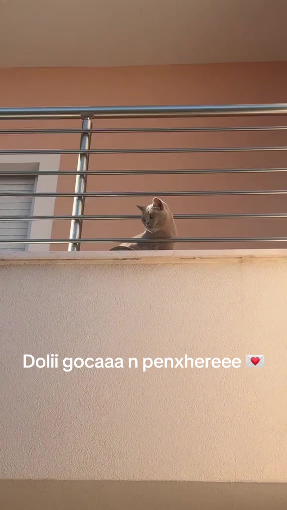 @matchaathecat