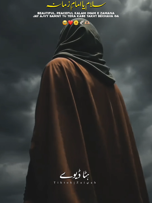@𝐙𝐀𝐈ن𝐀𝐛ރ