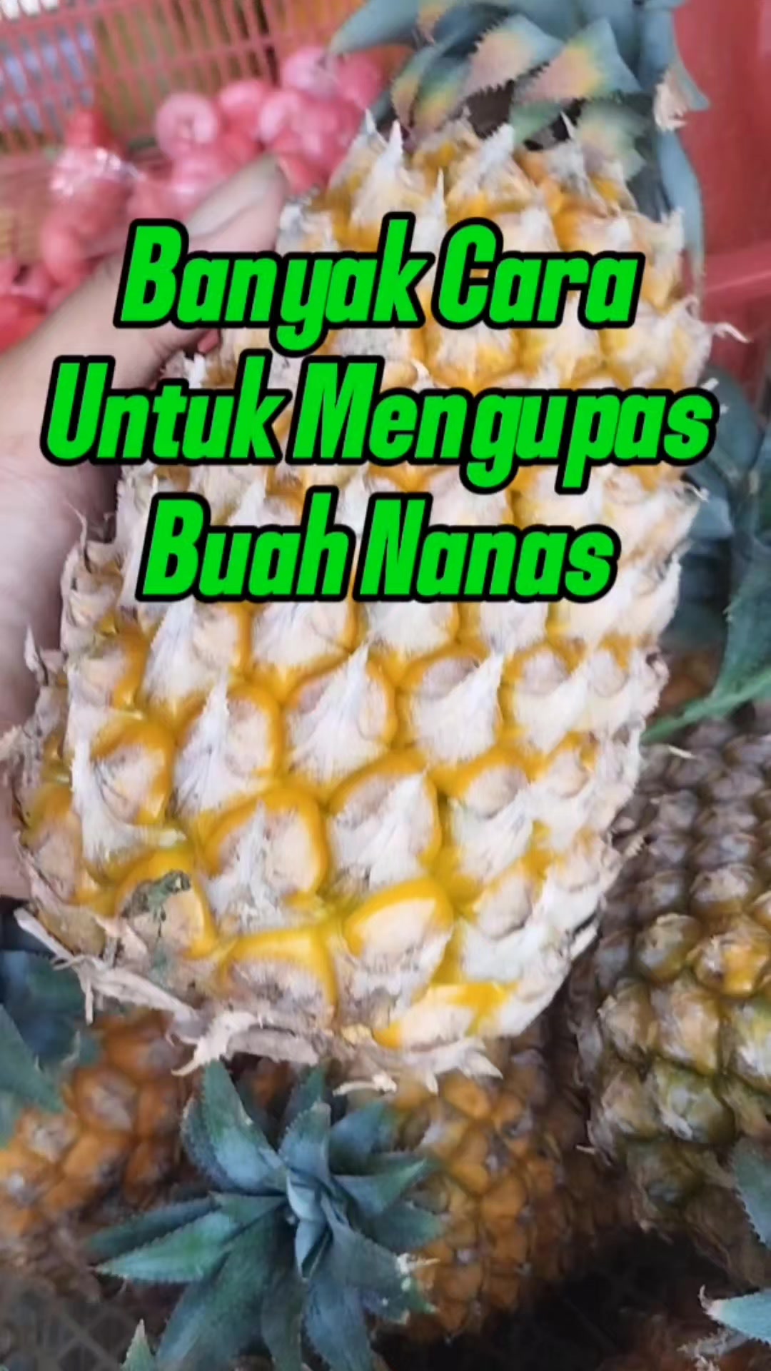 @Bukit Farming