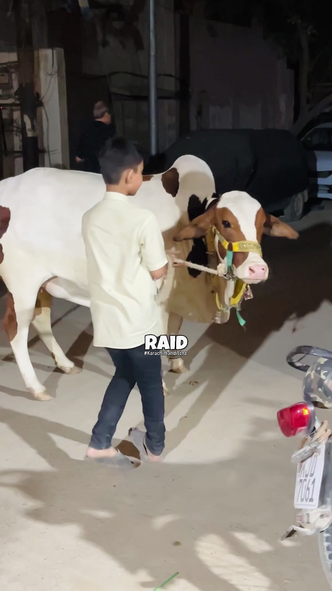 @Raid by Karachi Mandi Scnz