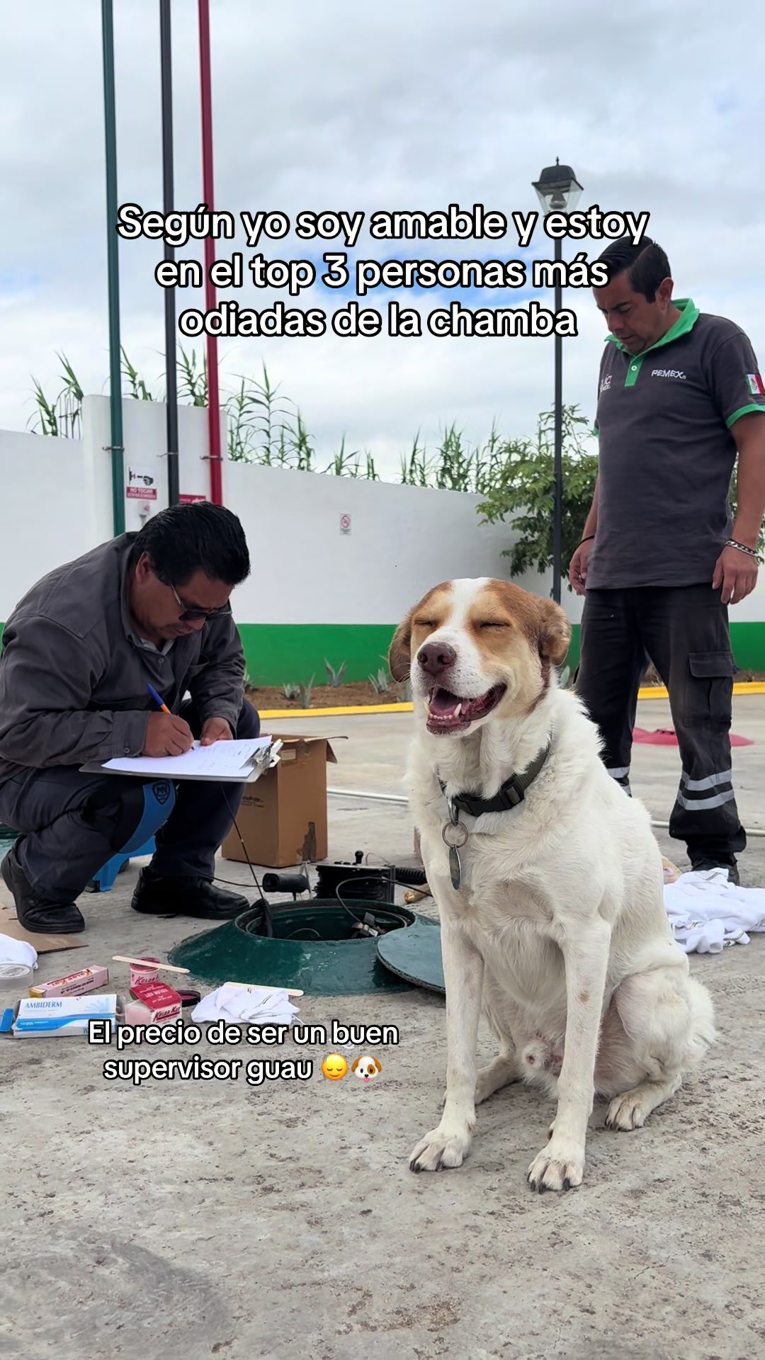 @Mailo el perro gasolinero