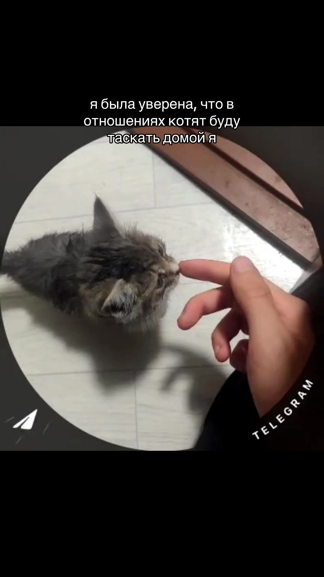 @ненастья