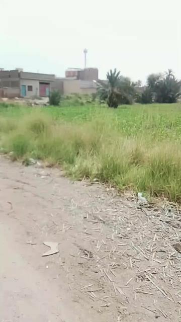 @سنڌي بادشاه 🚩