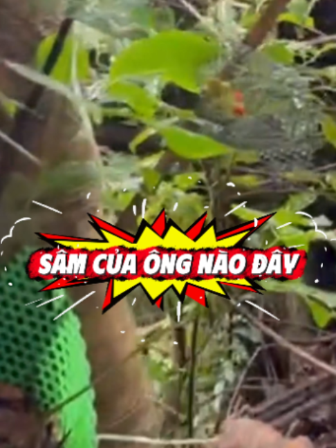 @Gió Kon Tum