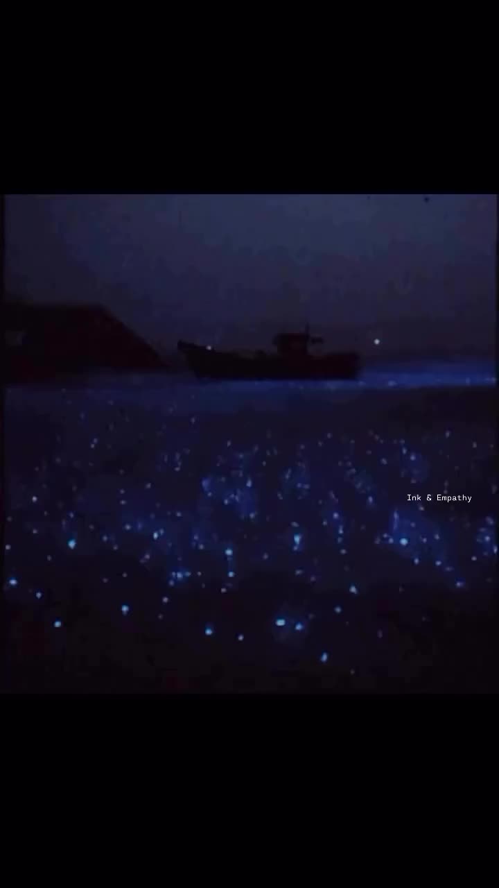 @★彡[ᴠɪʙɪɴɢᴡɪᴛʜ_ᴡᴀꜱɪꜰꜱʜᴀʜᴢᴀᴅ]彡★