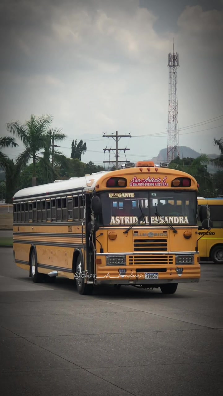 @Buses De Honduras 504๐ธ๐ญ๐ณ