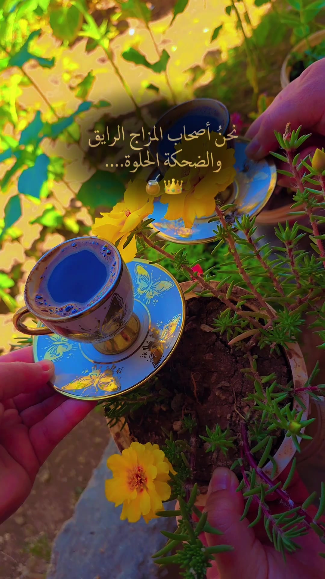 @ريــ💋تۣۗہآجۣۗہ❤️👑💫