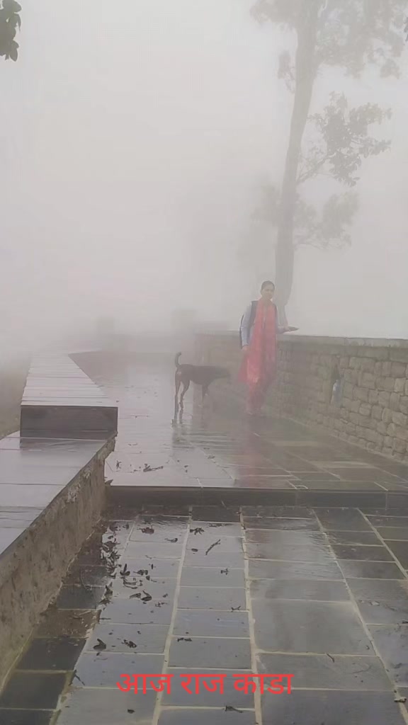 @mina jaishi