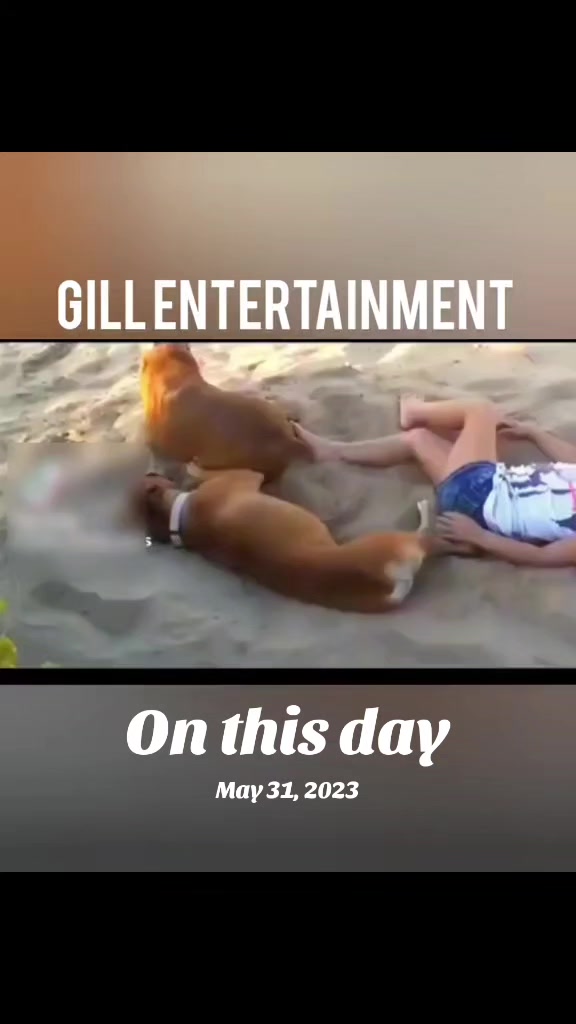 @Gill Entertainment