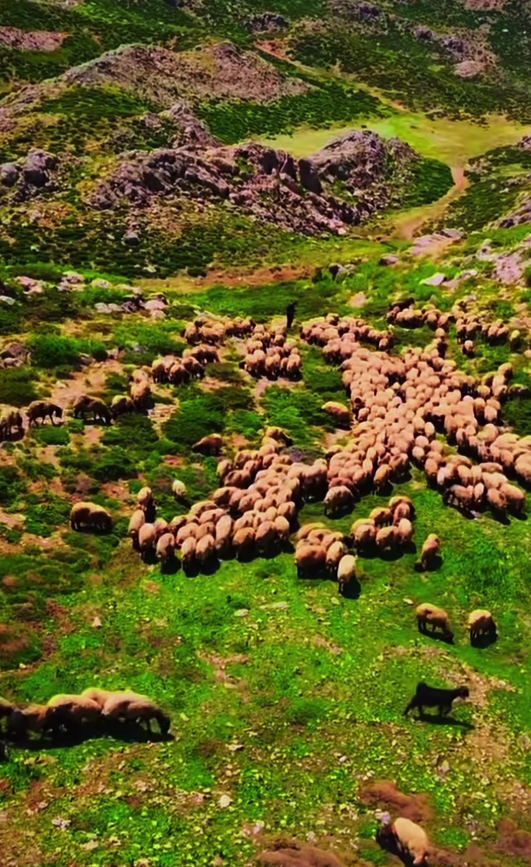 @ŞİYAR ✪