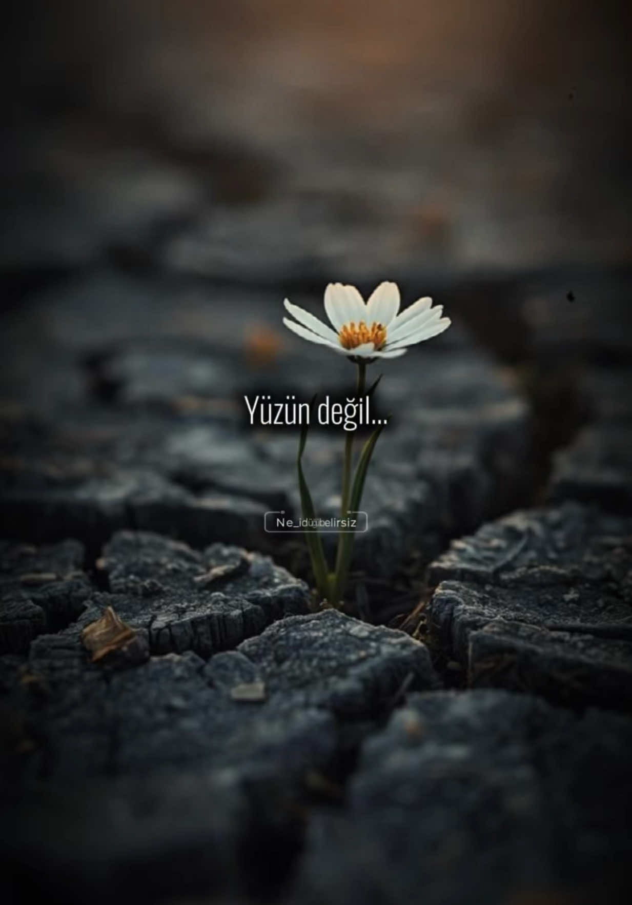 @ne_idugubelirsiz