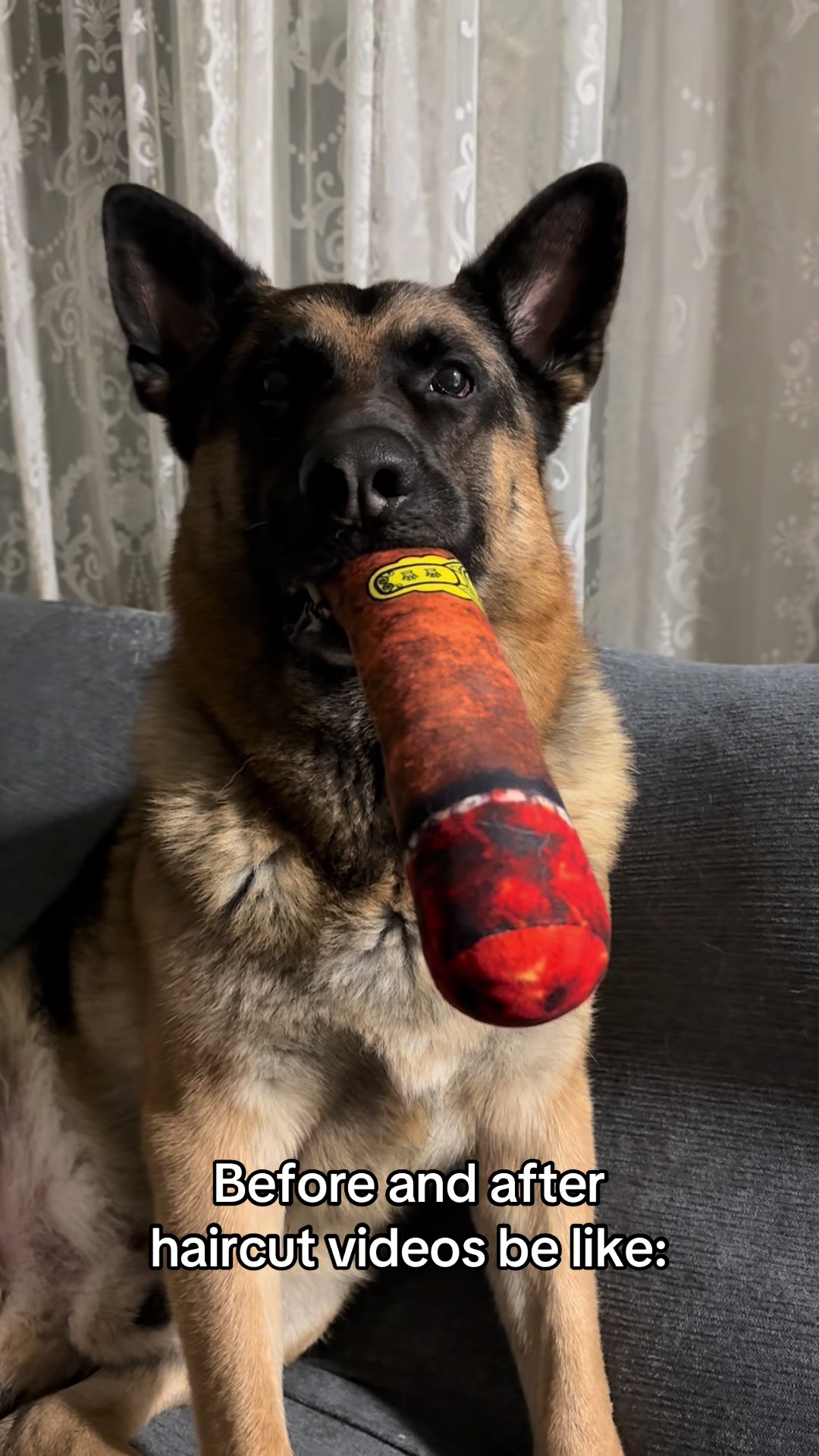@Martygsd