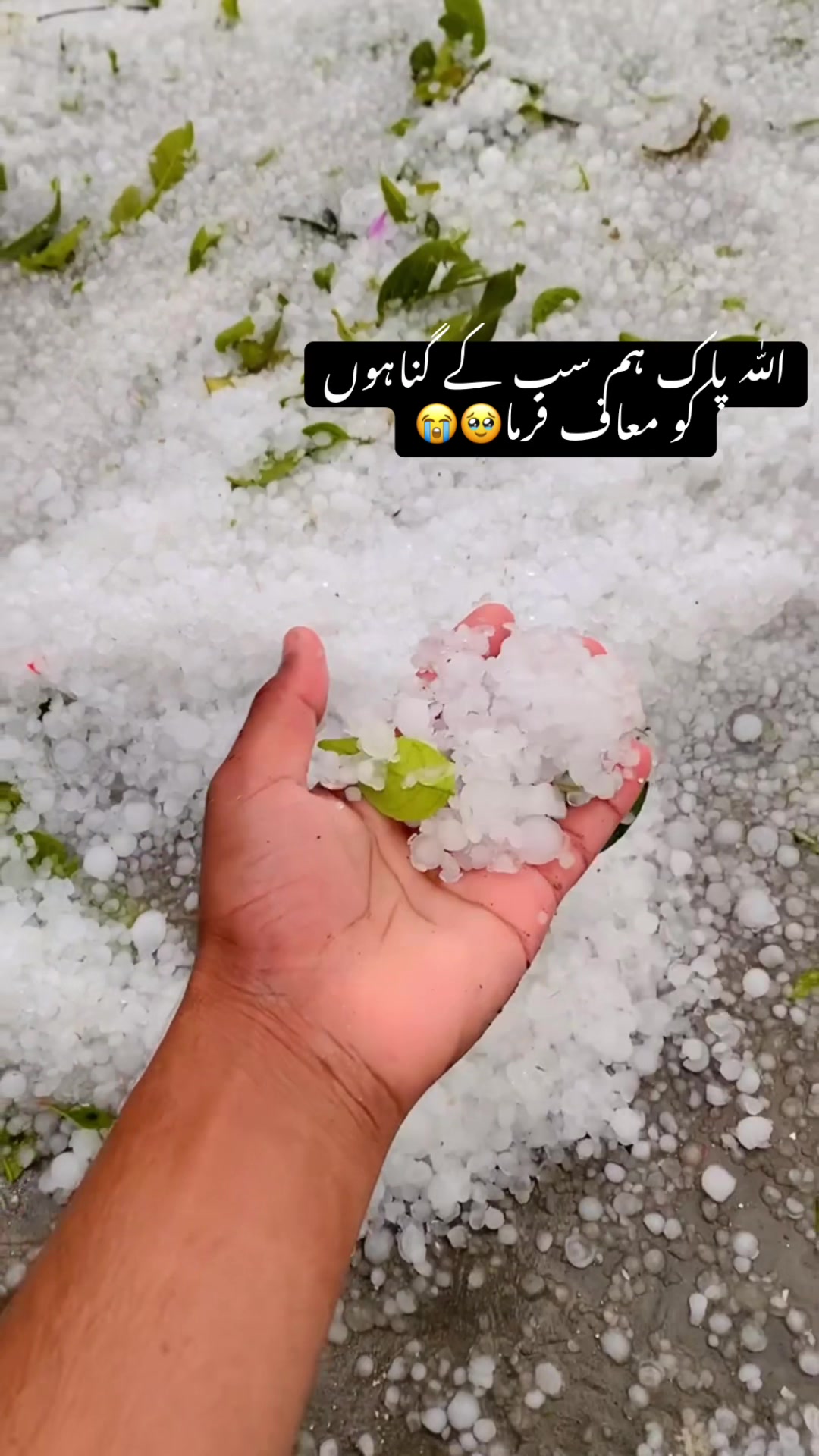 @Malik Dᴀɴɪsʜ࿐
