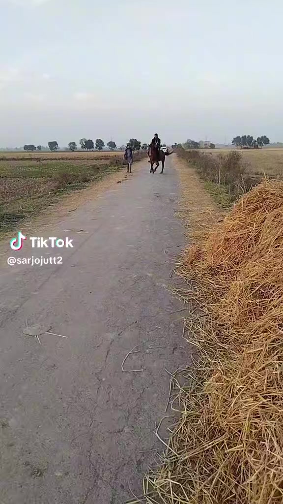 @🇵🇰🇸🇦Waleed Rajput 🇵🇰🇸🇦