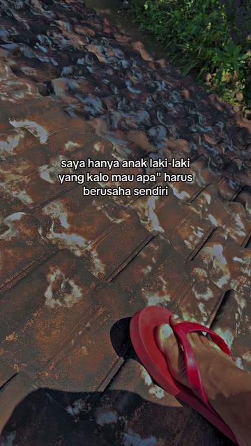 @Alfarisi