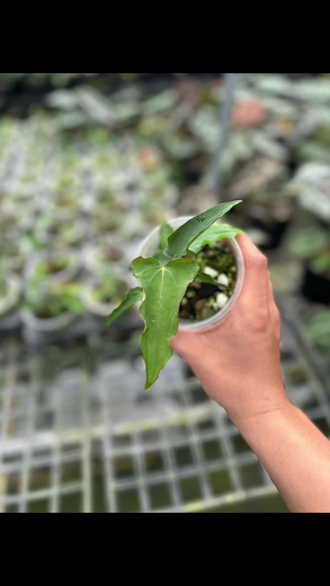 @KeepcầmKây🥦