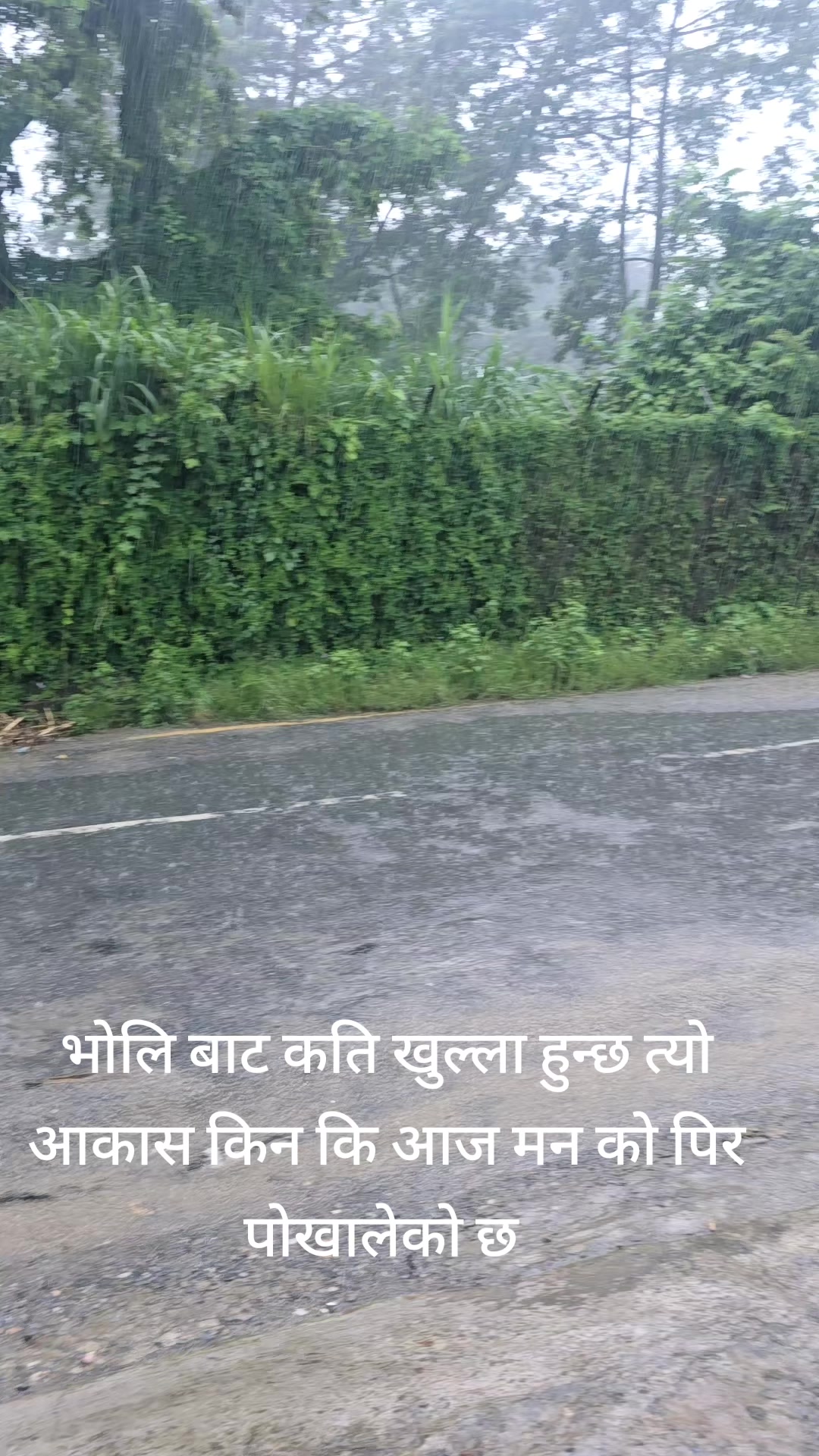 @kamalasubedi