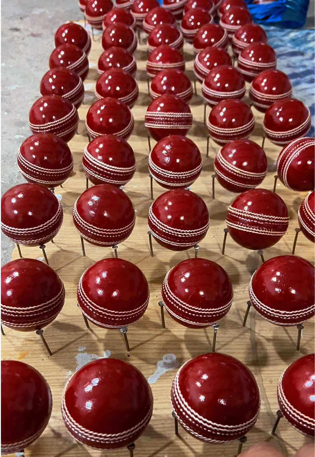 @SHAQO SPORTS 🏏🔥